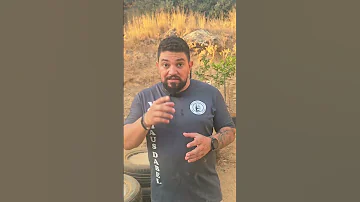 الغنج صح او غلط ما تواخذونا بس الونسو ما بخليلنا تياب نظيفة Dogbreeds Dogtraining Dabelacademy 