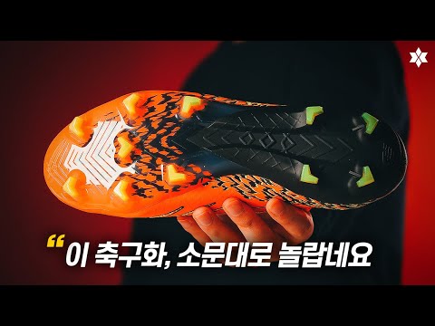 첫인상은 기대 이상인데요? 👀
