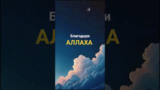 #аллах #покаяние #дуа #молитва #грех #намаз #иман #ислам #ихсан #благодарность #вера #истина #сабр