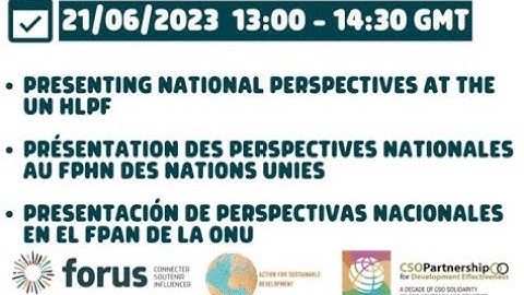 Sharing National Perspectives at the UN HLPF