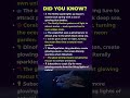 🌍 5 Living Lightbulbs of the Animal Kingdom!💡😲