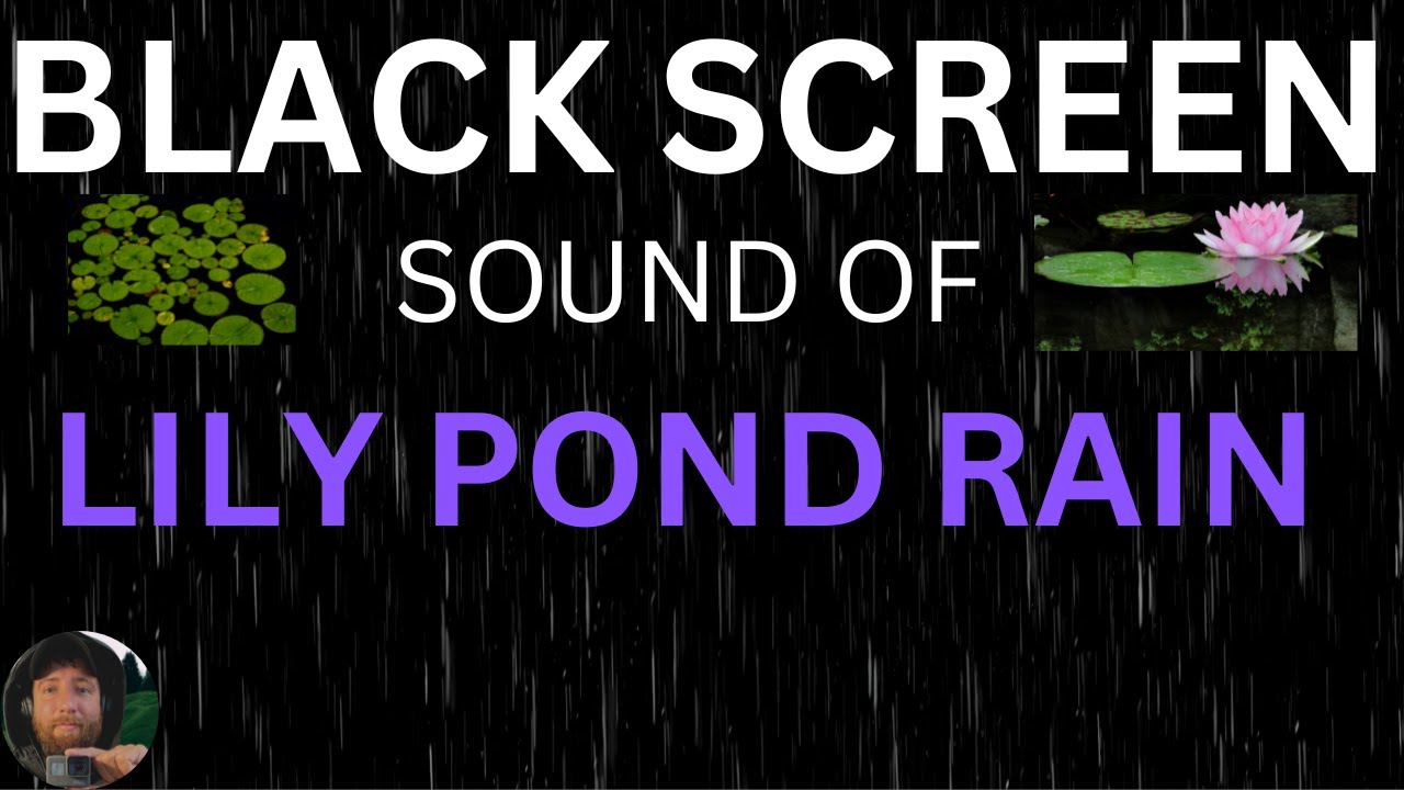 Rain & Lily Pond Sounds 10 Hours Sleep, Relaxation, Soothing or