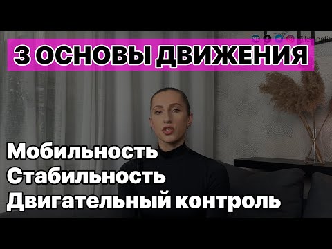 3 основы движения