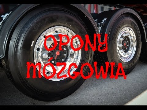 Anatomia - Opony mózgowia, zatoki opony twardej