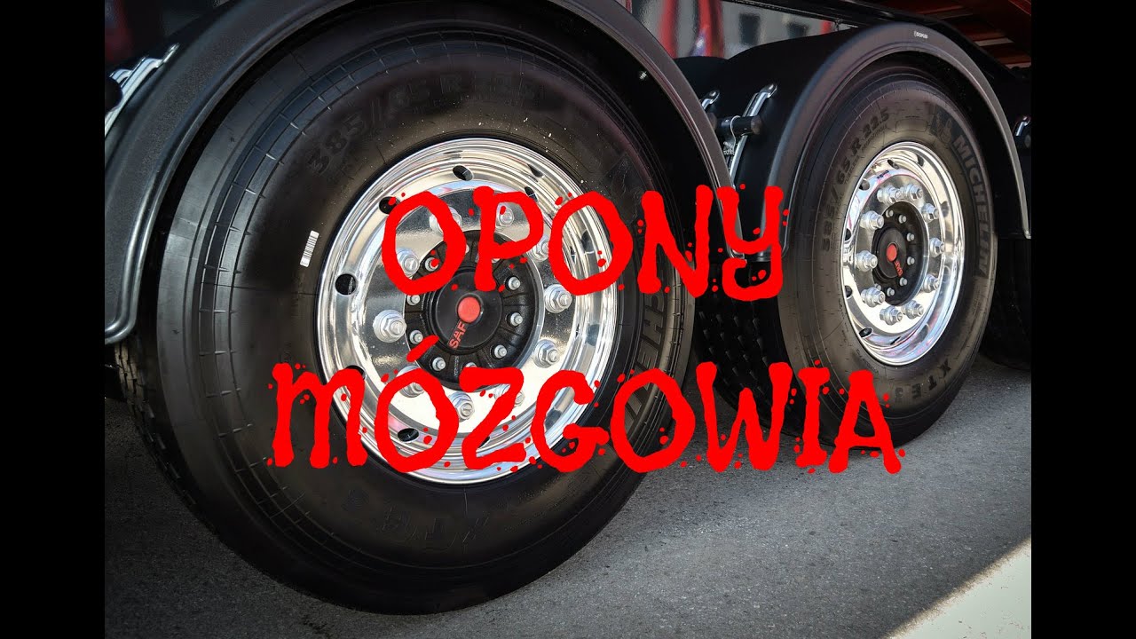 Anatomia – Opony mózgowia, zatoki opony twardej — Transcript