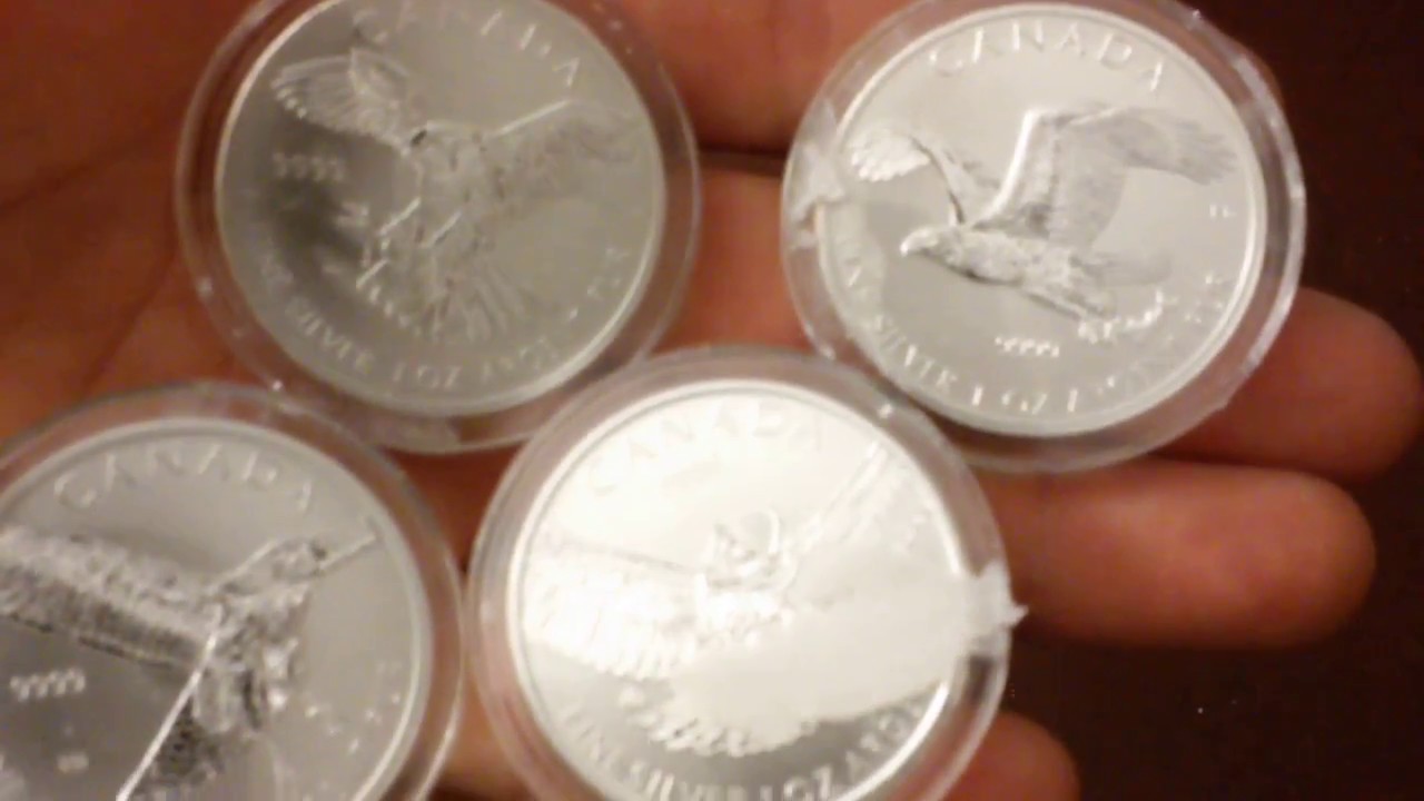 RCM Wildlife Series BIRDS OF PREY 1oz Silver Maple Leaf Coins