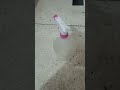 bottle flip, spray flip, slime container and cap flip