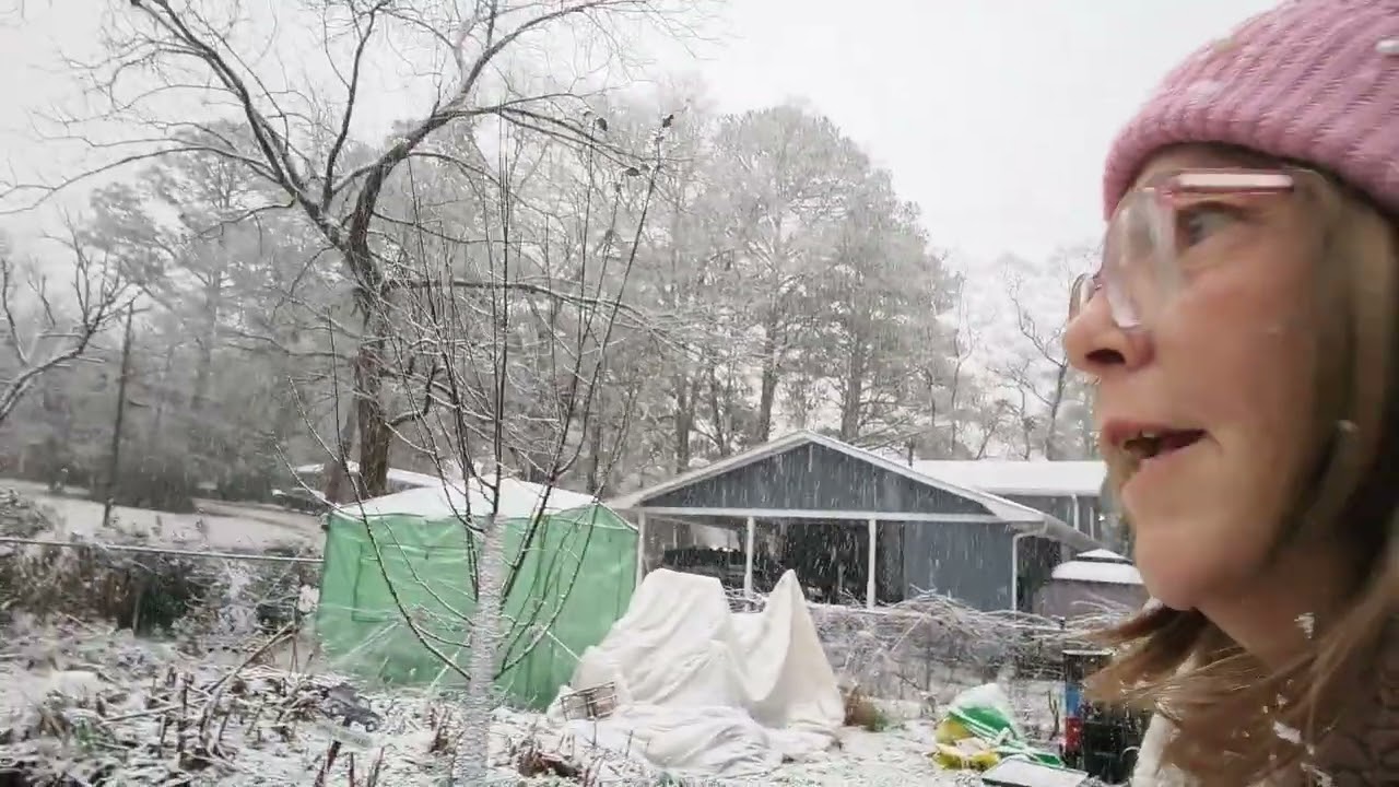 SnowinGAVID 20260118 081210