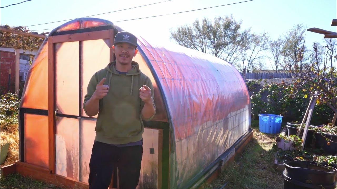 Zone 7 Amarillo, TX Cattle Panel Greenhouse 3 Years Update And Simple Heating Solution For