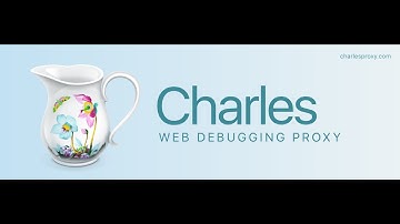 Charles. Как перезаписать данные в браузере, используя прокси сервер?