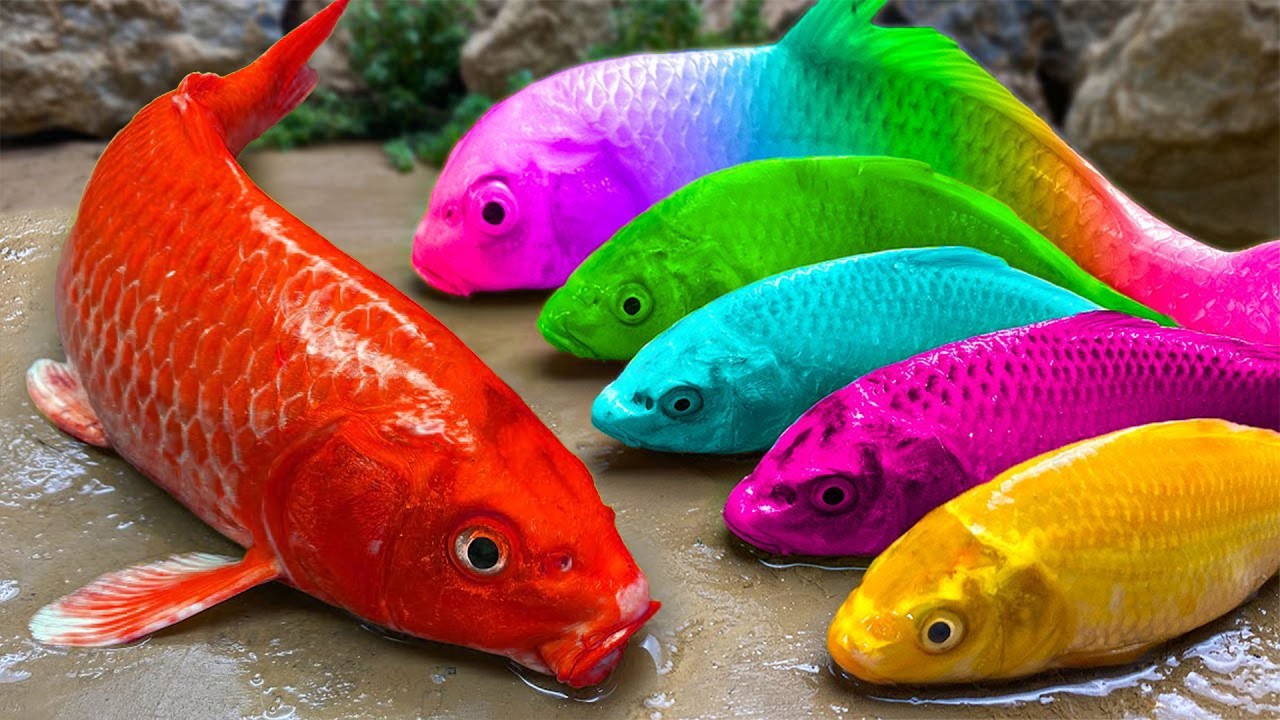 دعاء خاشع في اليوم التاسع من شهر رمضان المبارك دعاء خاشغ تهتز له القلوب - Doa Ramadan - علاء عقل