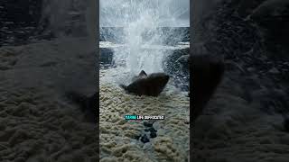 What If Oxygen Disappeared For 5 Seconds? The World Without Air