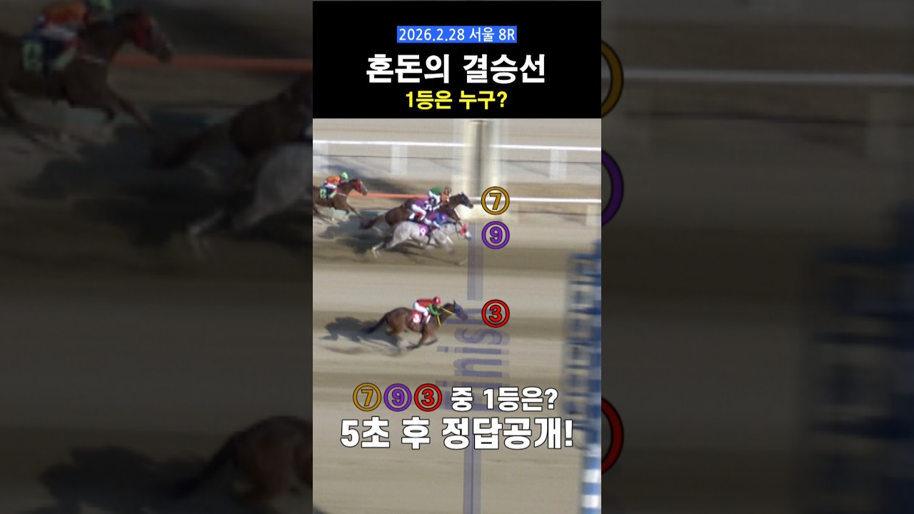 혼돈의 결승선! #경마 #동순위 #코가짧다