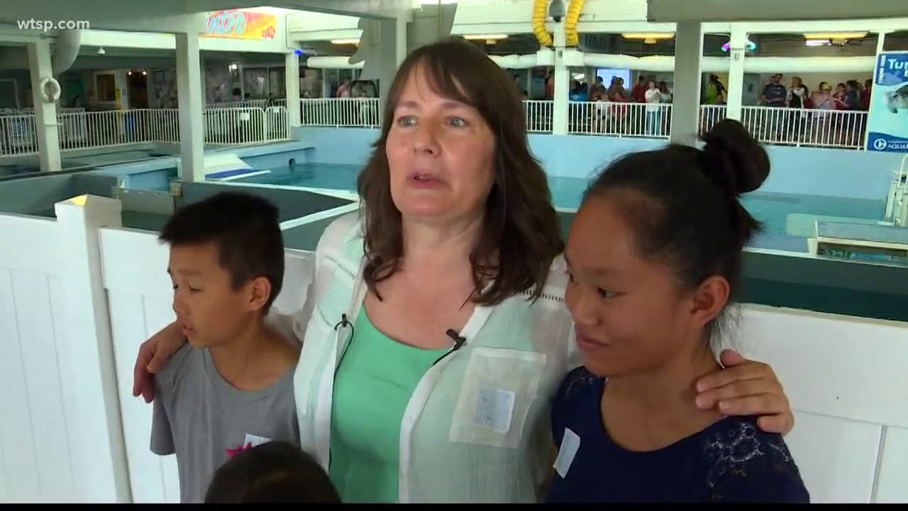 Winter the Dolphin and Hope the Dolphin help makes adoption announcement extra special