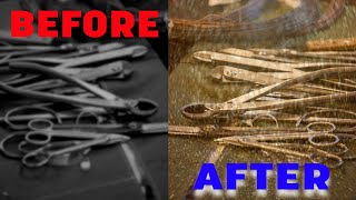 "Want to Make Your Bonsai Tools Look Brand New? See What Bluing Can Do!"