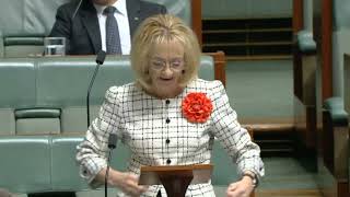 Matters of Public Importance  Minister for Immigration, Citizenship and Multicultural Affairs