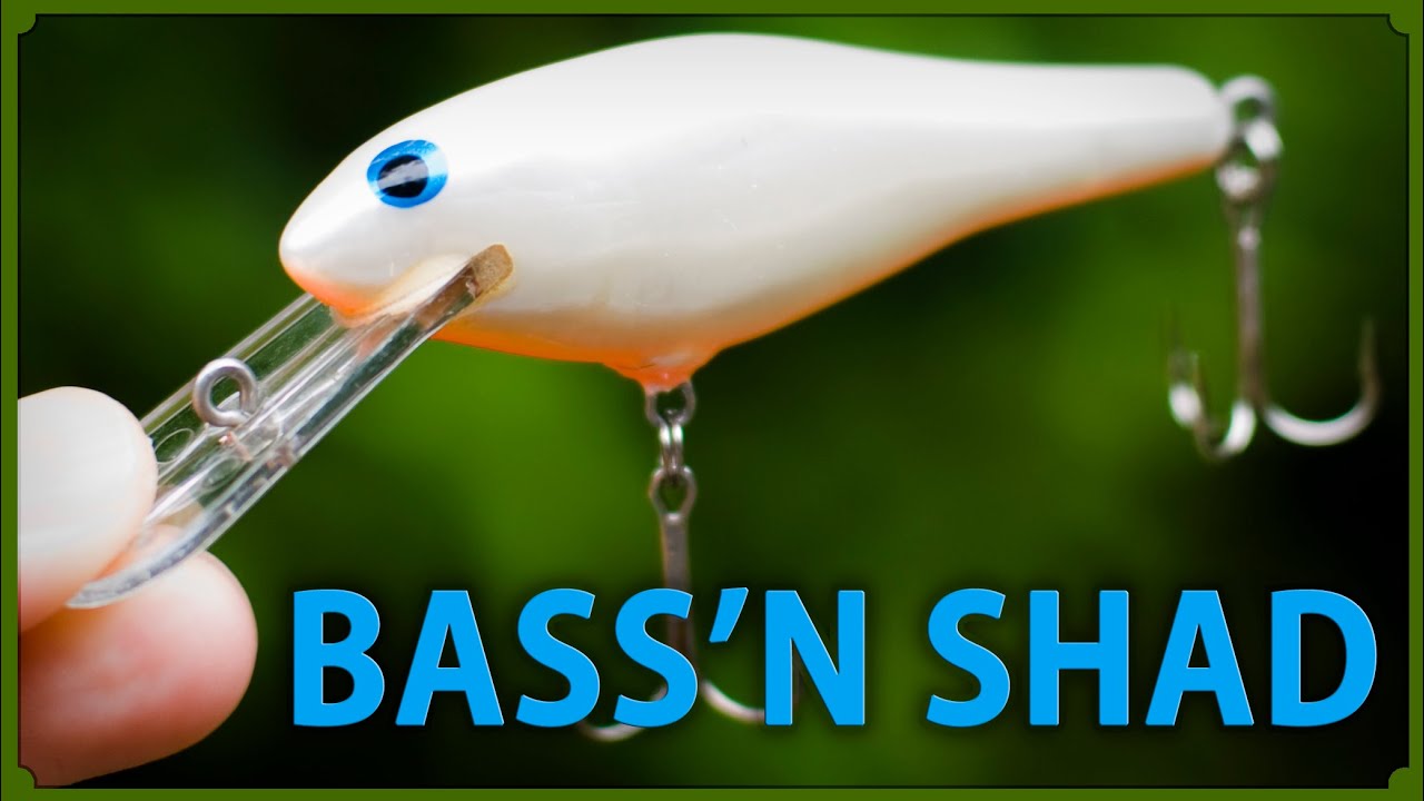 Underwater world of the BASS'N SHAD / Bagley's バッシンシャッドの水中ルアー映像