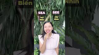5 Cặp Từ Đồng Âm Gây Lú Trong Học Tiếng Anh Bạn Phải Biết! | Clarity English Hub