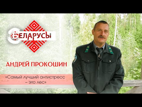 Березинский заповедник: о дикой природе и местах, где не ступала нога человека