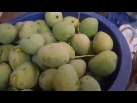 #MALUTONG AT MAKATAS NA MANGGA/ #youtube #upload #prutas #fresh #asmrvideo