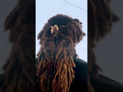 Kurlasosman Season 7 New Trailer 1 Mongolian Entry Osmanbey Viralshorts Shorts