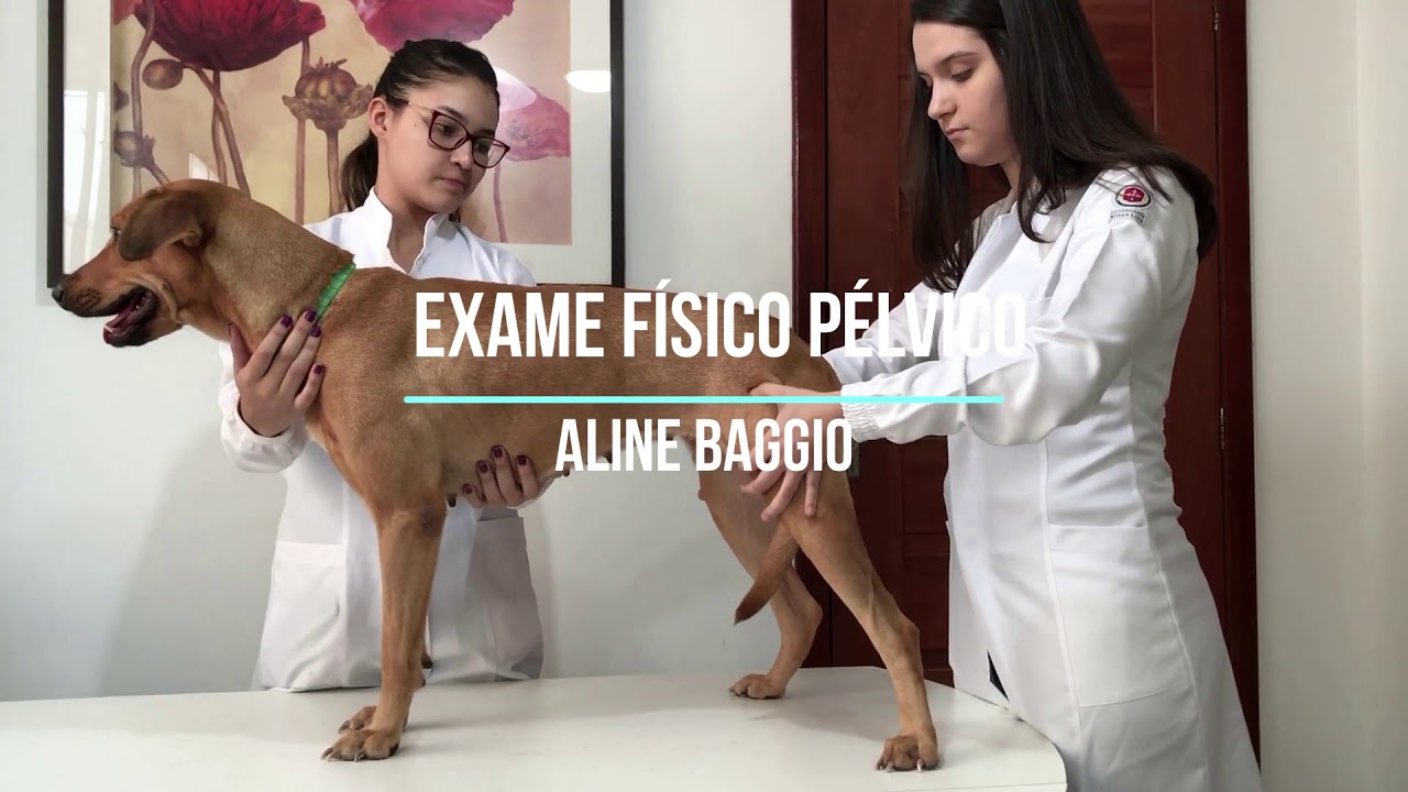 Semiologia do Sistema Locomotor de Pequenos Animais