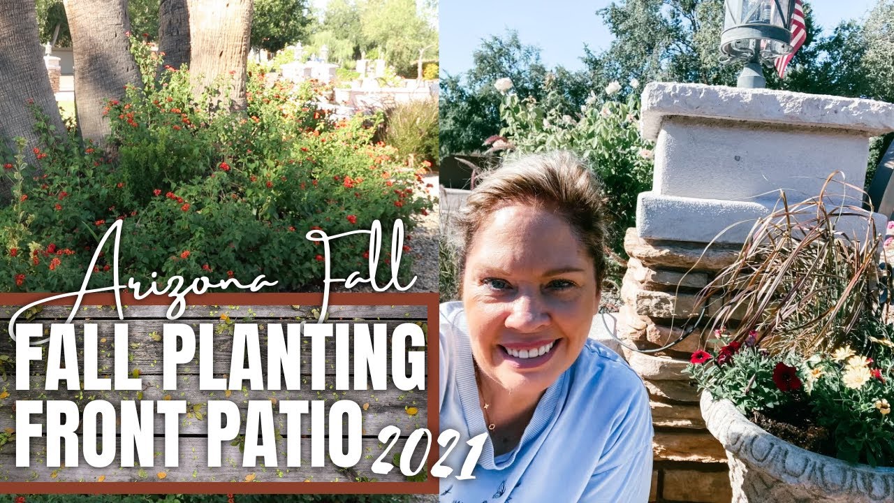 Arizona Fall Planting Front Yard Landscaping Ideas Zone 9 Planting