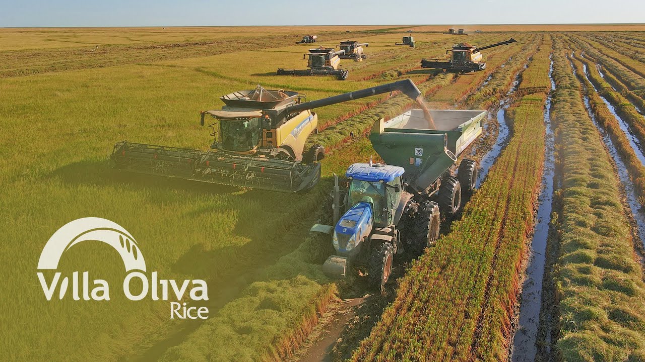 Video Institucional Villa Oliva Rice
