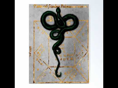 Pitbull Terrier Die Antwoord Best Part Looped