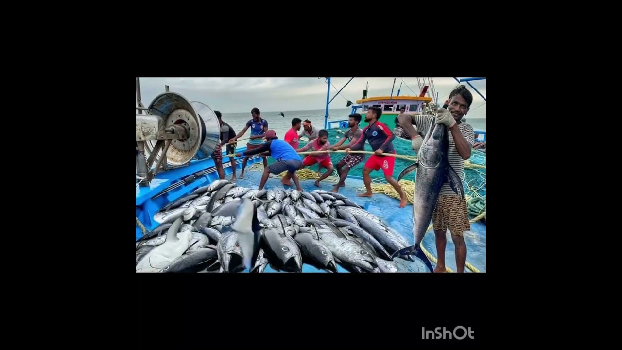 Deep Sea Fishing AiVlog(Subscribe Channel🔔)