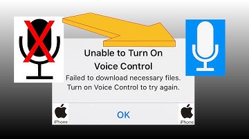 Fix for iPhone error Unable to turn on Voice Control