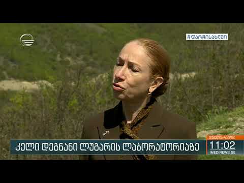 აშშ-ის ელჩი საოკუპაციო ხაზთან მივიდა