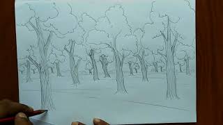 How to draw forest scene Step by step Forest drawing for beginner very easy Art