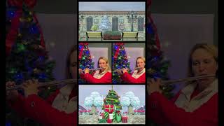 Toy Day snowy theme from #animalcrossing ft. my mom and dad! #vgm #percussion #flute #trombone @VRonMediaMusic