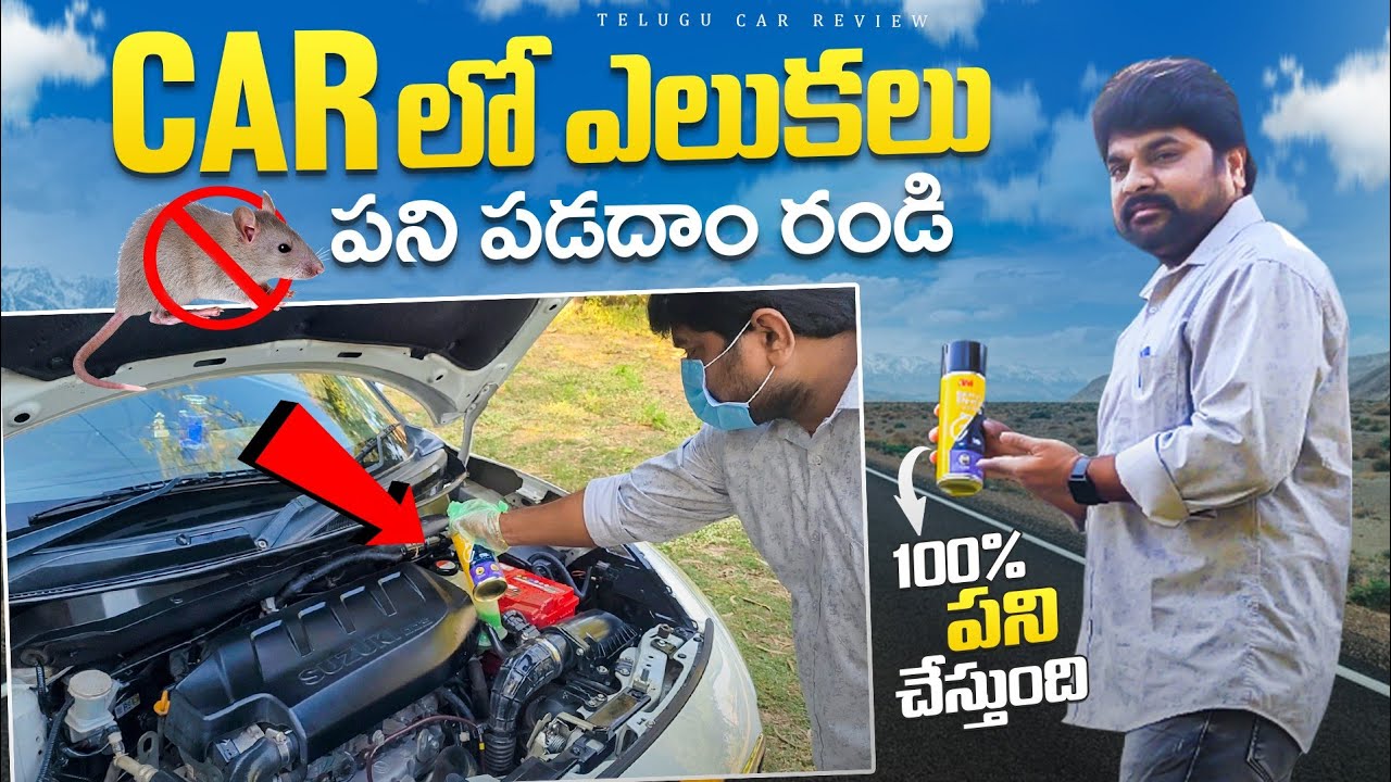 Lets protect car from rats  How to protect car from rats  Telugu Car Review
