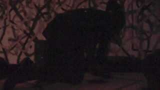 Stolen Temple Pileup on January 11, 2014 at F.L.A. Gallery, Gainesville, FL