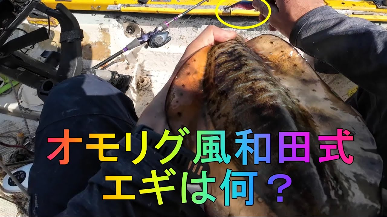 オモリグ風和田式船アオリに適したエギは何？