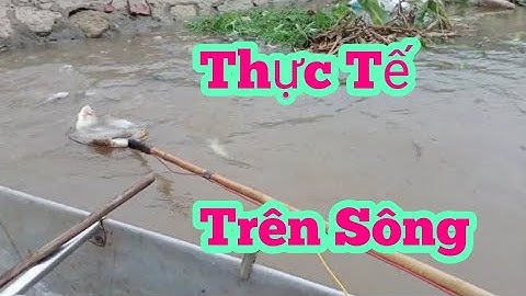 Dùng kích cá 20 phét bắt trọn ổ cá rô phi trên sông 0362921480