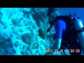 Curacao Boca Santa Cruz diving blue room