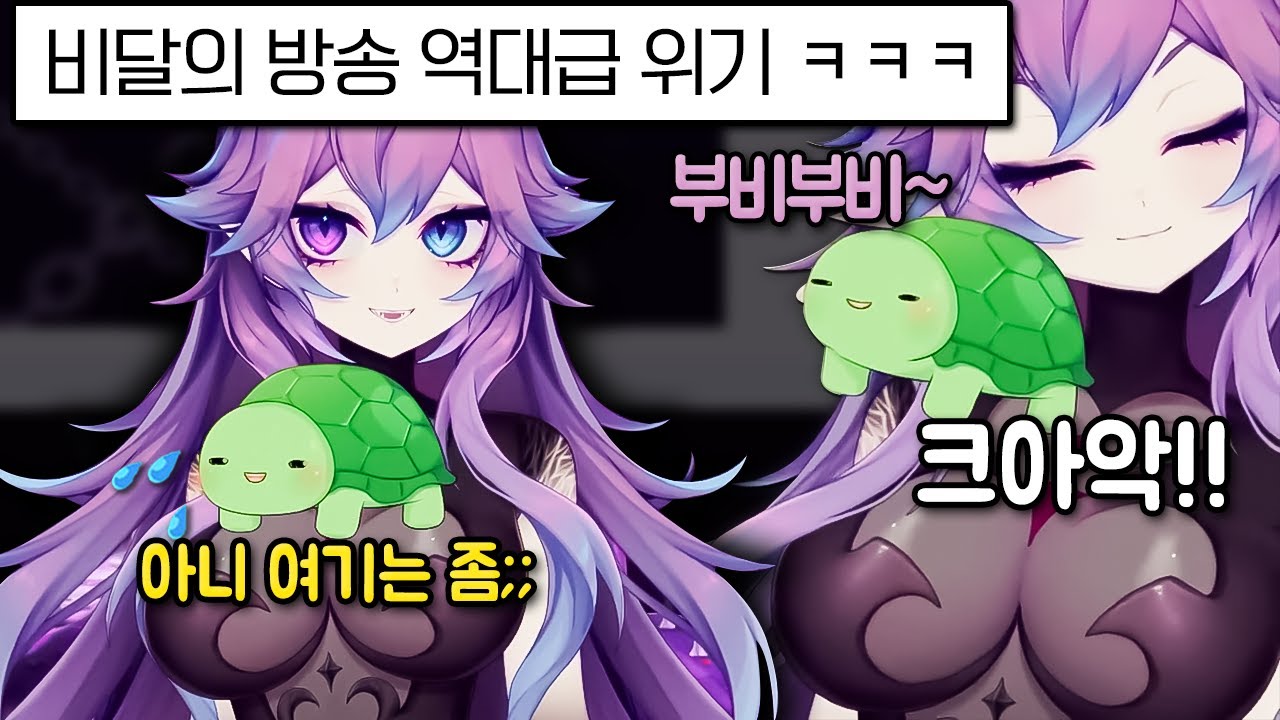 하렘에 꼭 있는 누님에 정신 못차리는 비달 ㅋㅋㅋ [뉴로사마] @CottontailVA