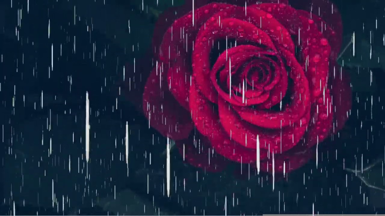 NATURAL RAIN SOUNDS FOR STUDY, FOCUS & PRODUCTIVITY"