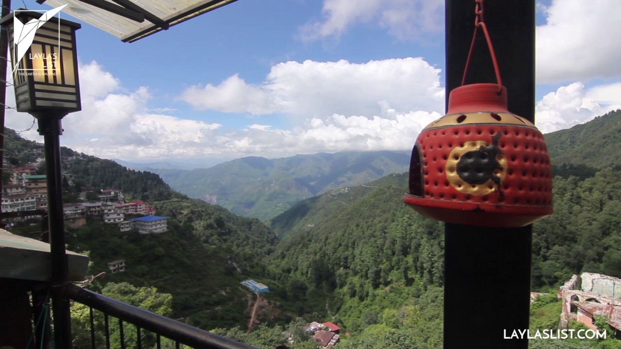 little llama cafe YouTube