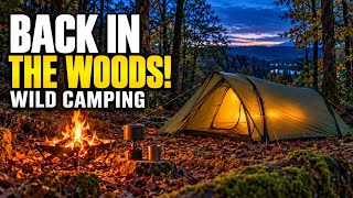 Wild Camping in Stanley Woods AGAIN! | Lone Camp & Night Walk 🦉