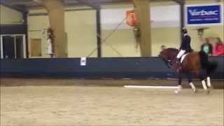 Download Lagu AlexandroP2014 MP3