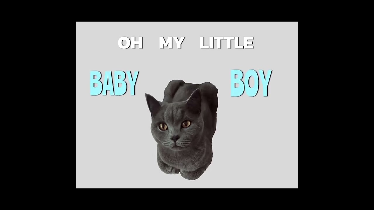 OH MY LITTLE BOY CAT DESIGN MEME DADI DADI