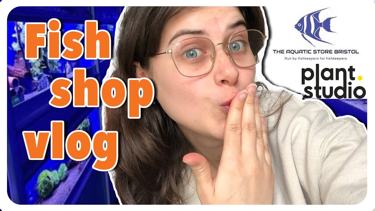 Visiting my favourite Bristol aquatic shop + plant shop YouTube