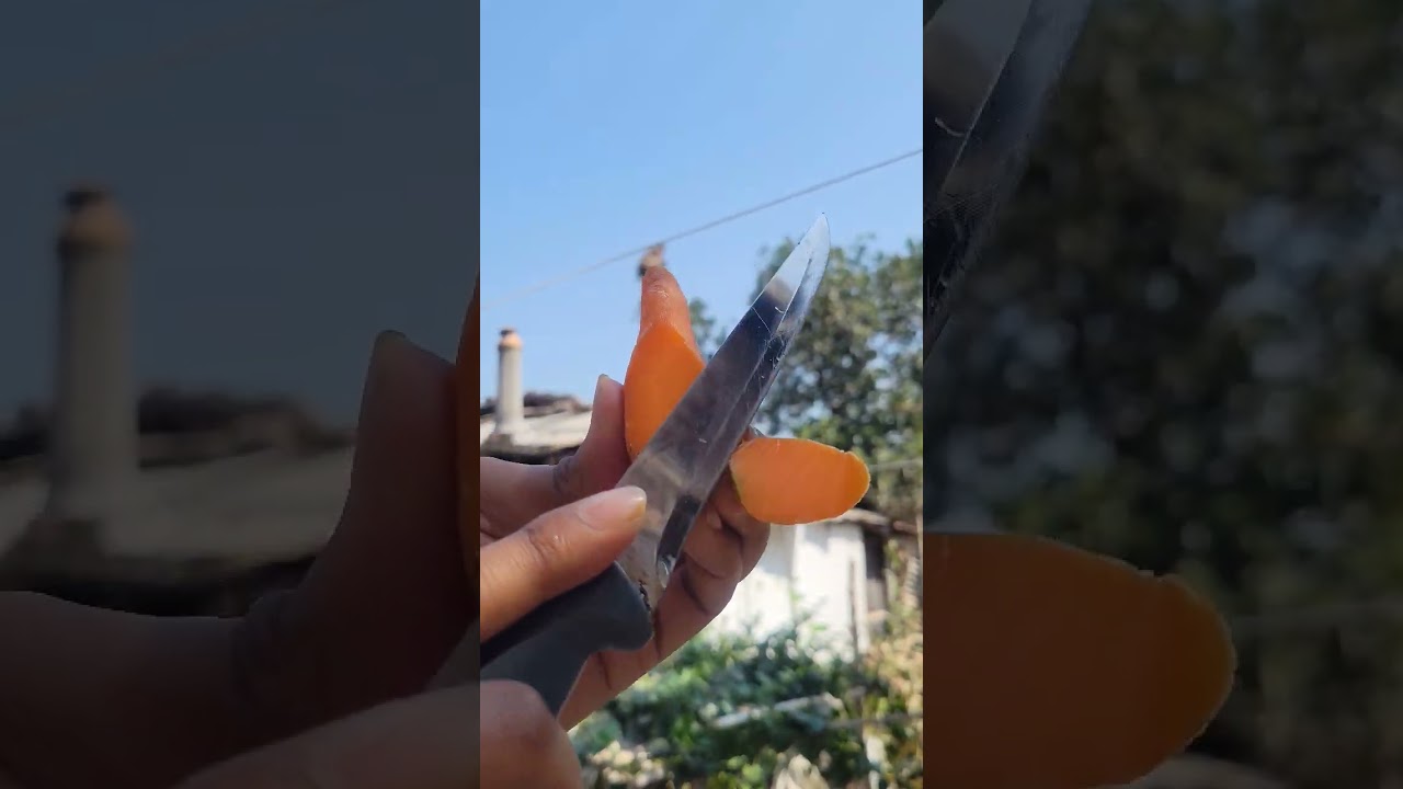 Enjoy beautiful nature life 🥒🫑🍅🍏