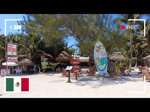 Hotel Sandos Caracol | Playa del Carmen 2024
