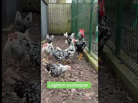 PARTIE 1 like si tu veux une partie 2