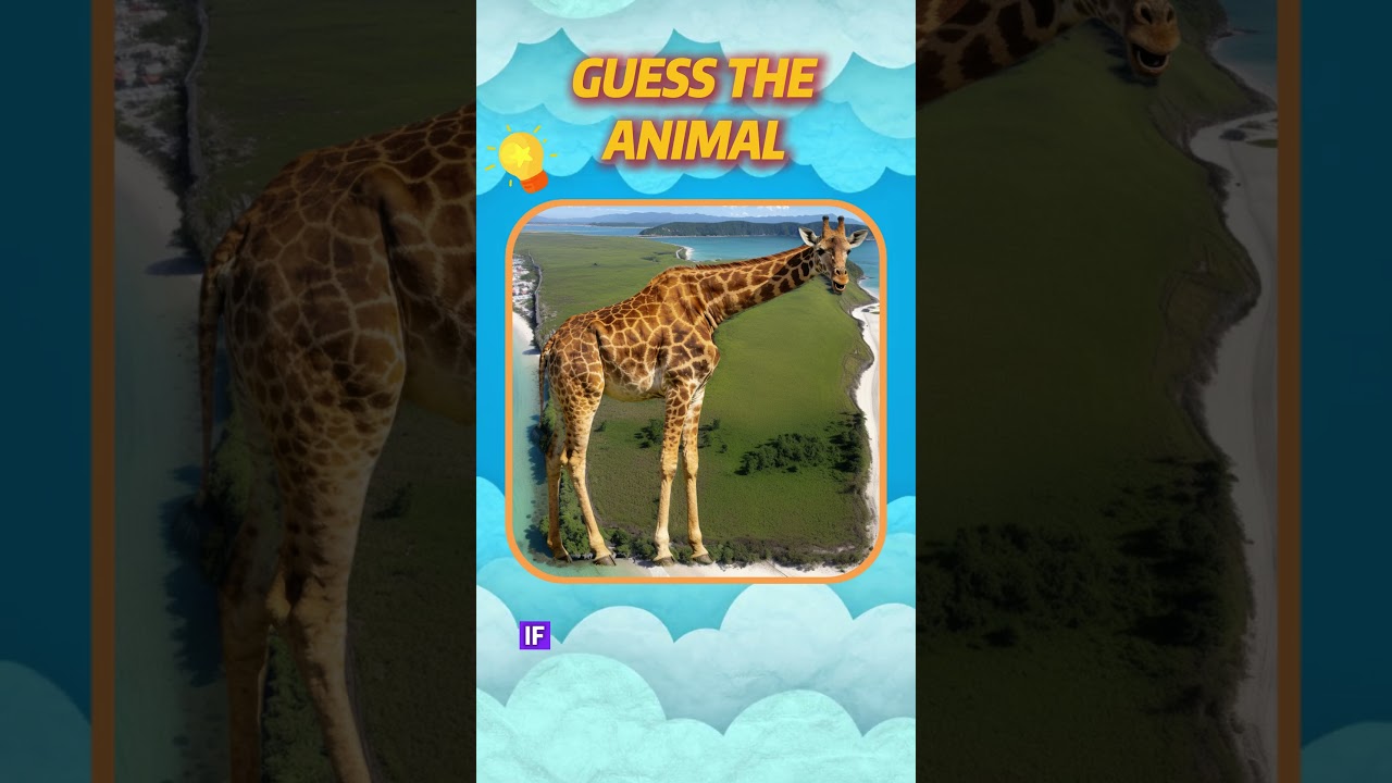 (P2) Guess the Animal Through Illusions | Optical Illusion Challenge  